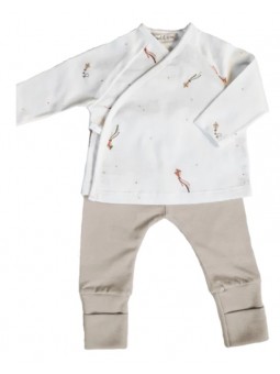 Primera puesta Cometas |...