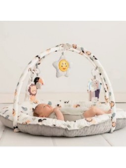 Alfombra actividades...